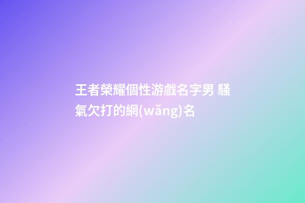 王者榮耀個性游戲名字男 騷氣欠打的網(wǎng)名